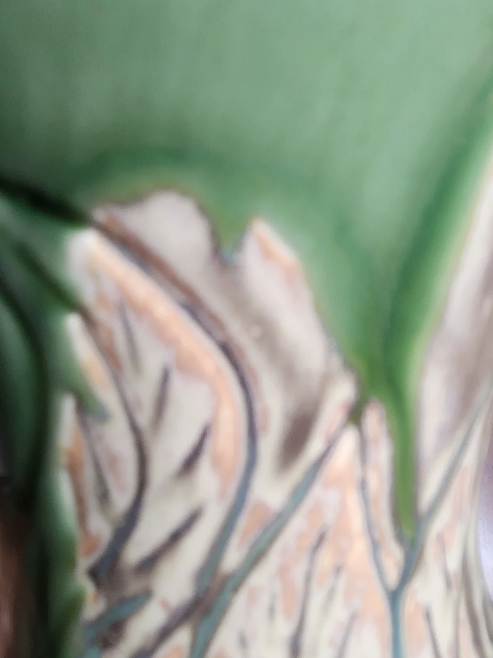 Green Ceramic Vase with Floral Relief